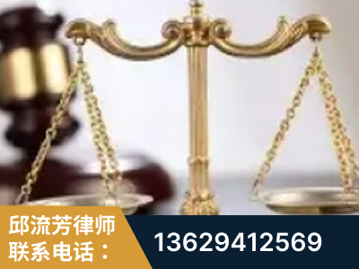 灵宝-委托诉讼代理人出庭